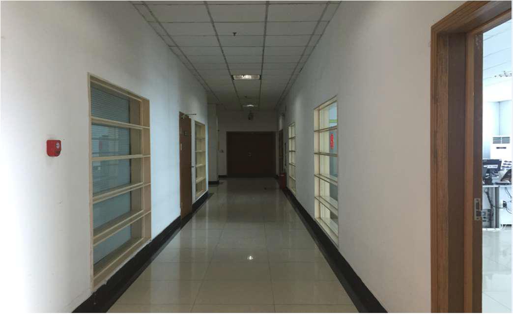 �칫��-����